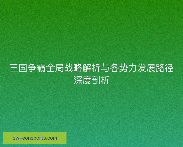 三国争霸全局战略解析与各势力发展路径深度剖析