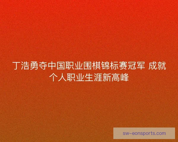 丁浩勇夺中国职业围棋锦标赛冠军 成就个人职业生涯新高峰 丁浩勇夺中国职业围棋锦标赛冠军 成就个人职业生涯新高峰