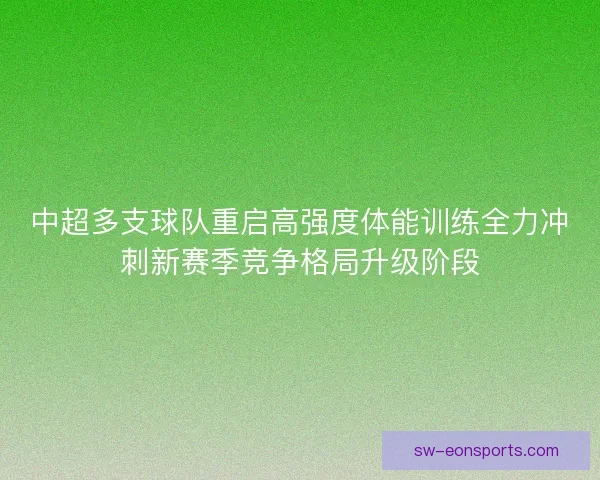 中超多支球队重启高强度体能训练全力冲刺新赛季竞争格局升级阶段 中超多支球队重启高强度体能训练全力冲刺新赛季竞争格局升级阶段
